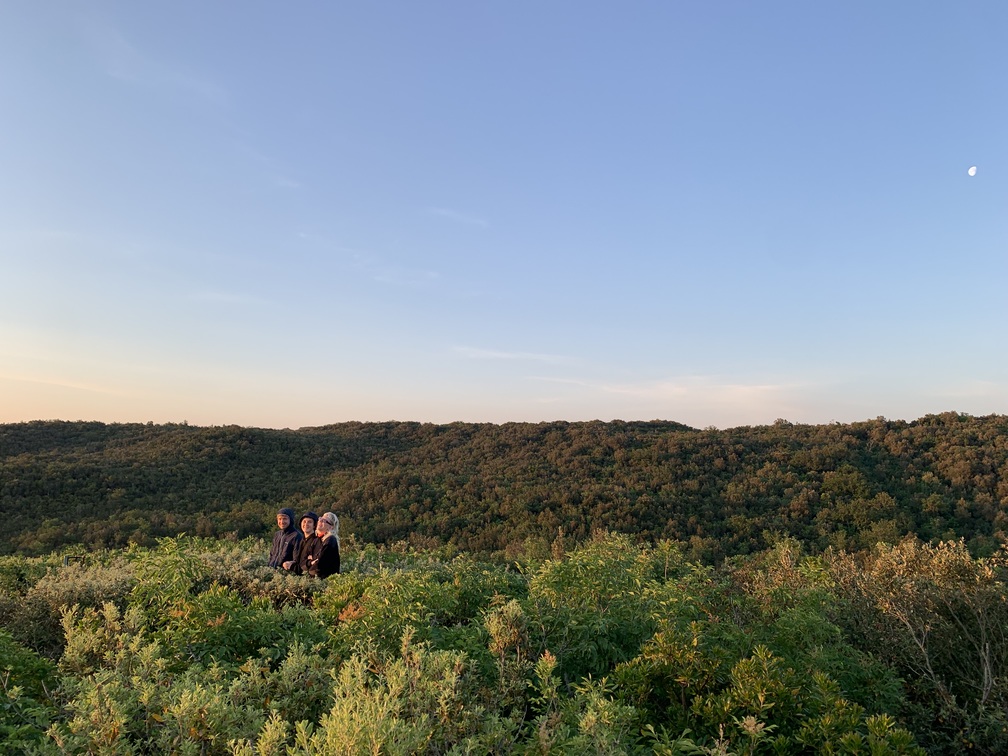 Drei Menschen schauen aus dem Blätterdach. Im Hintergrund viel Wald und blauer Himmel